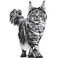 v-diet renal multipack gatto 12x85g