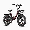 bici elettrica l20 boost motore 250w batteria 48v 13ah