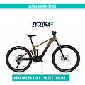 Giant Ebike Ricondizionata Trance E 3 Carbonio Ottimo Stato