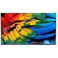 65hfl6214u/12 tv 165 1 cm (65) 4k ultra hd wi-fi antracite 400 cd/m²