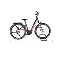 ebike ricondizionata · mavaro neo 3 · come nuovo