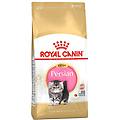 feline breed nutrition persian kitten 2kg