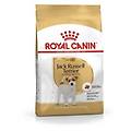 jack russell terrier cibo secco per cani 1 5kg
