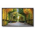 multisync x554hb pannello piatto per segnaletica digitale 139 7 cm (55") led full hd nero