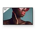 pro bravia fw-55bz40l 55" display