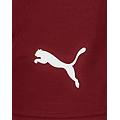 salernitana home 25-26 m pantaloncini calcio ufficiali uomo color mix xl