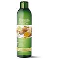 bottega verde zenzero shampoo purificante fortificante con estratto di zenzero cute da purificare
