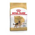 royal canin. mangime german shepherd adult 11kg pollo crocchette ritiro gratis