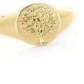 anello golden dream placcato oro giallo collezione golden dream misura 54 giallo