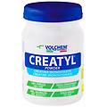 creatyl powder 300 grammi