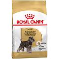 miniature schnauzer adult crocchette per cane 7 5 kg