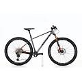 mtb ricondizionata · rakish 10 carbonio xt · ottimo stato