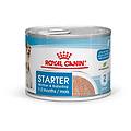 starter mousse mother & babydog umido per cane 12 x 195 g