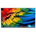 Philips Tv Led Ultra Hd 4k 58 58hfl6214u 12 Android Tv