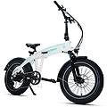 bicicletta elettrica pieghevole eddy x 20 pollici. batteria 250w 48v14a