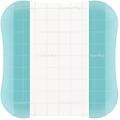 coloplast spa comfeel-33533 pl trasp 10x10 10p