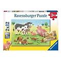 - rvb07590 puzzle 2 x 12 pezzi famiglie animali