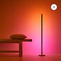 Wiz Piantana Led Pol Bianco E Colore Sintonizzabile