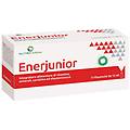 srl enerjunior 10fl