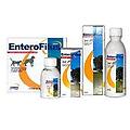 enterofilus mangime complementare liquido 100ml