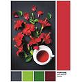 - clm39494 puzzle da 1000 pezzi pantone 3