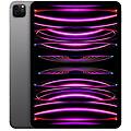 ipad 11 pro wi-fi + cellular 2tb grigio siderale