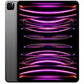 ipad 12. 9 pro wi?fi + cellular 128gb grigio siderale