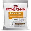 energy snack per cani set % 20 x 50 g