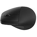 Hp 280ergonomic Wless Mouse Crispix