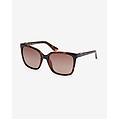 occhiali square shape injected nero marrone con lenti a specchio marrone donna