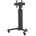 carrello monitor 55 chief fusion black chmpaub