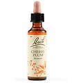 fiori di bach 06 cherry plum gocce 20 ml