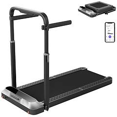kingsmith tapis roulant walkingpad r2h
