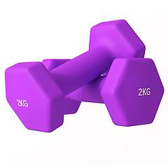 Sportnow Set 2 Manubri 2x2 Kg Metallo E Plastica 16x7. 5x7.