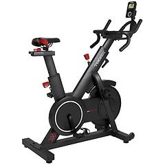 toorx indoor bike srx speed mag