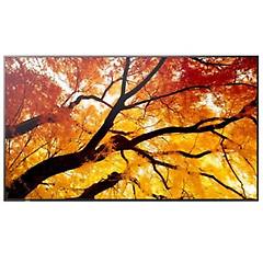 sharpnec sharp-nec display grande formato 75 pollici uhd d-led digital signage