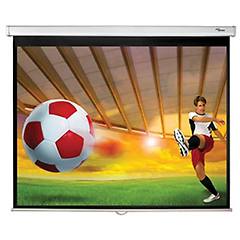 Optoma Ds-3084pwc Schermo Per Proiettore 2 13 M (84")