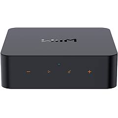 Rotel Audiogamma S. P. A. Wiim Streamer Audio Pro