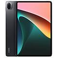 pad 5 6gb ram 256gb cosmic gray