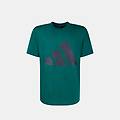 t-shirt da uomo verde