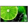 display lfd 65' led ips multisync e658 3840 x 2160 4k ultra hd