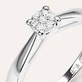 anello solitario sophia oro bianco diamante collezione sophia misura 56 oro bianco