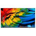 75hfl6214u 190 5 cm (75") 4k ultra hd smart tv wi-fi antracite (75hfl6214u/12)