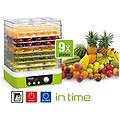 Concept Essiccatore Alimentare Con 9 Vassoi