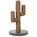tiragraffi cactus tortora