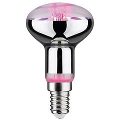 paulmann lampadina per piante a led e14 r50 4w