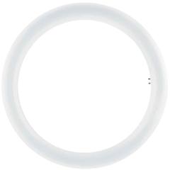 Osram Circolina Led G10q (32w) Luce Fredda Tube T9 Em