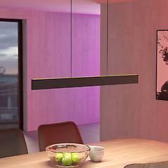 Eglo Connect Lampada Led A Sospensione Andreas-z Nero