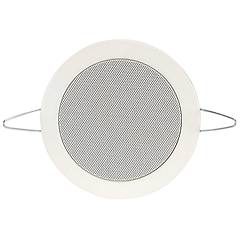 Visaton Dl 10 100 V