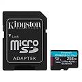 Kingston Scheda Di Memoria Micro Sd Con Adattatore Sdcg4 256gb 256 Gb